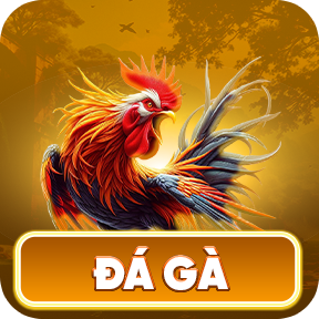 du88 đá gà